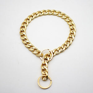 Gold Dog Chain Pet Accessories