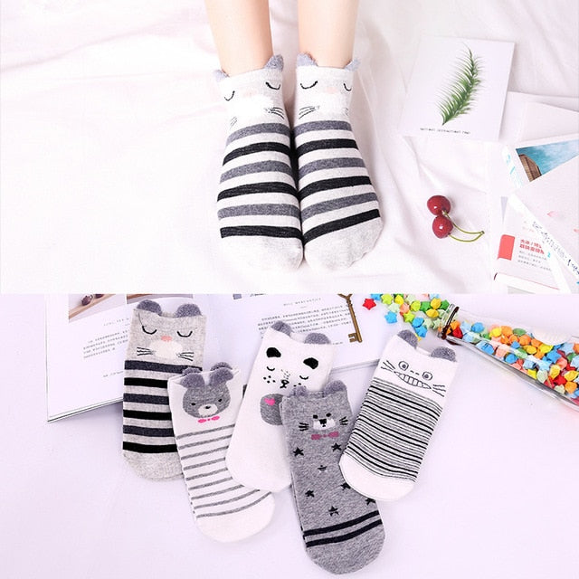 5 Pairs Lot Cotton Women Socks