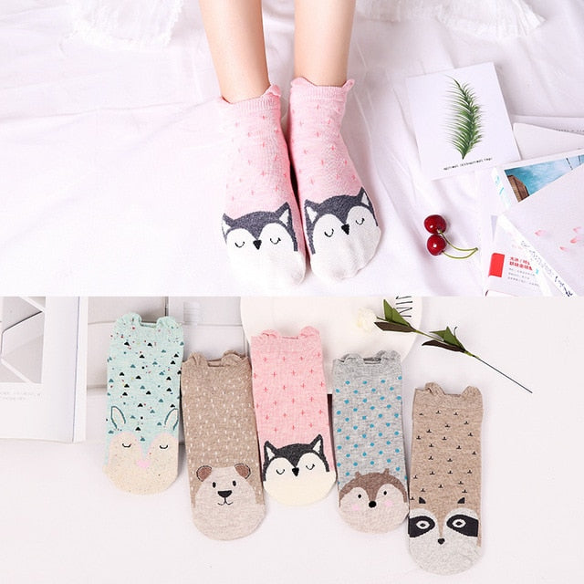 5 Pairs Lot Cotton Women Socks