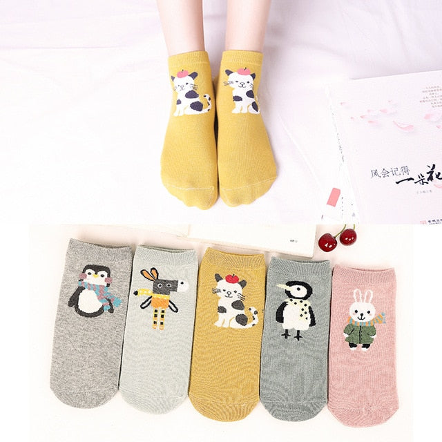 5 Pairs Lot Cotton Women Socks